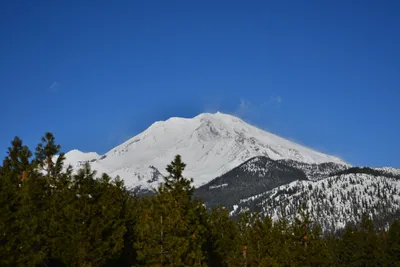 DSC_5906 (Large).JPG